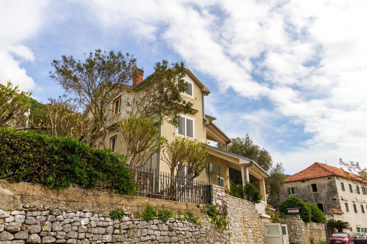 Apartmani Vesna Tivat Eksteriør billede