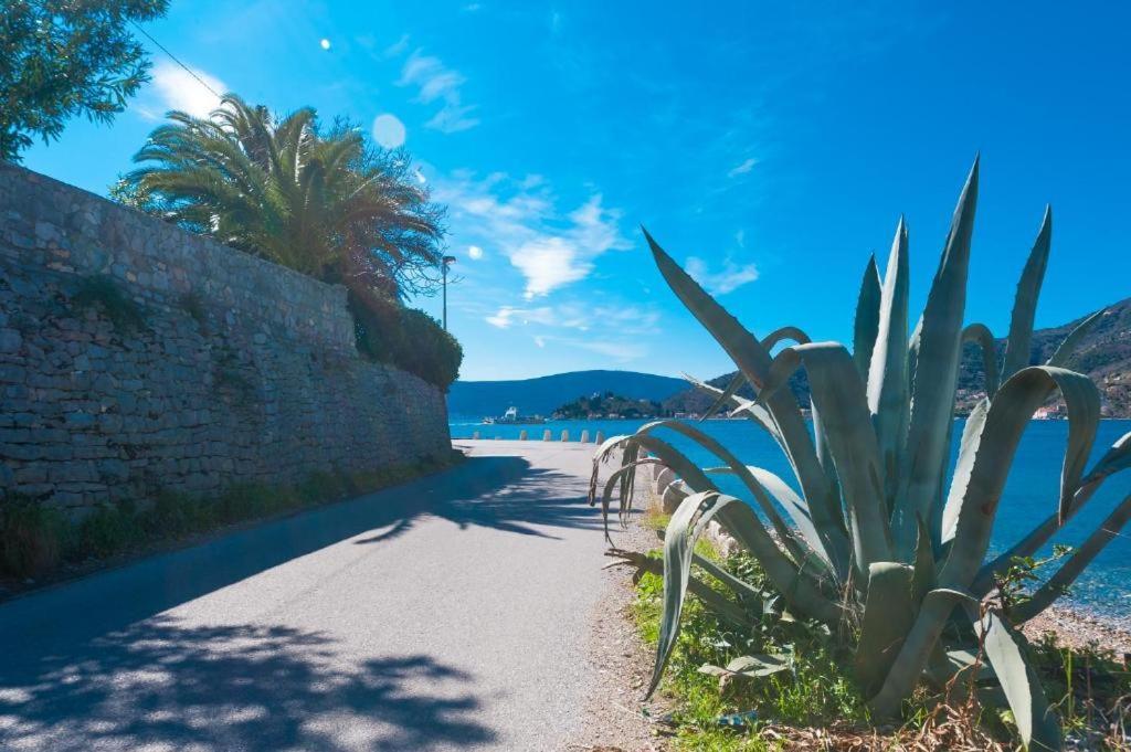 Apartmani Vesna Tivat Eksteriør billede